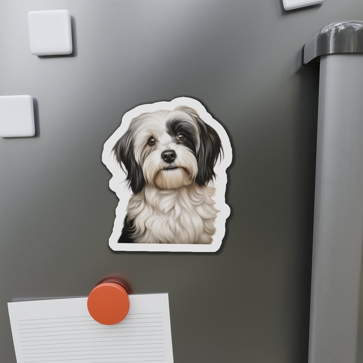 Havanese Magnet
