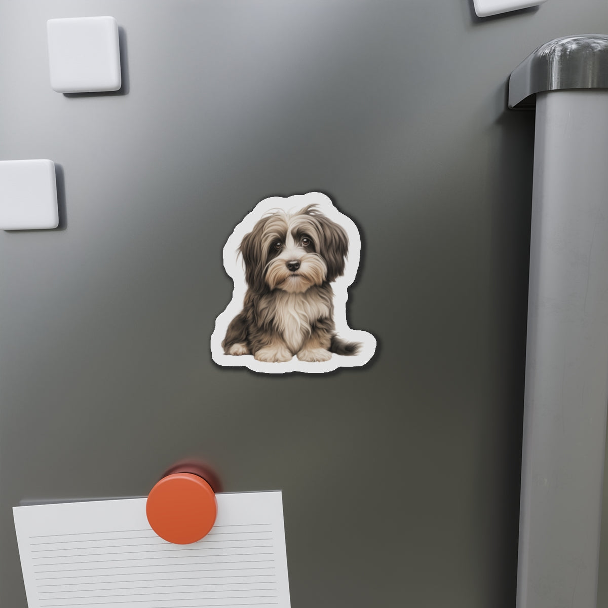 Havanese Magnet