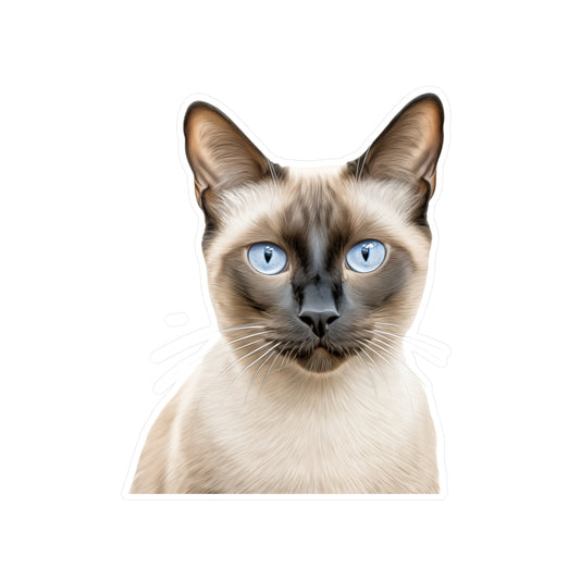 Siamese Cat Sticker | Pet Vinyl Decal | Animal Car Decal | Laptop Sticker | Window Decal