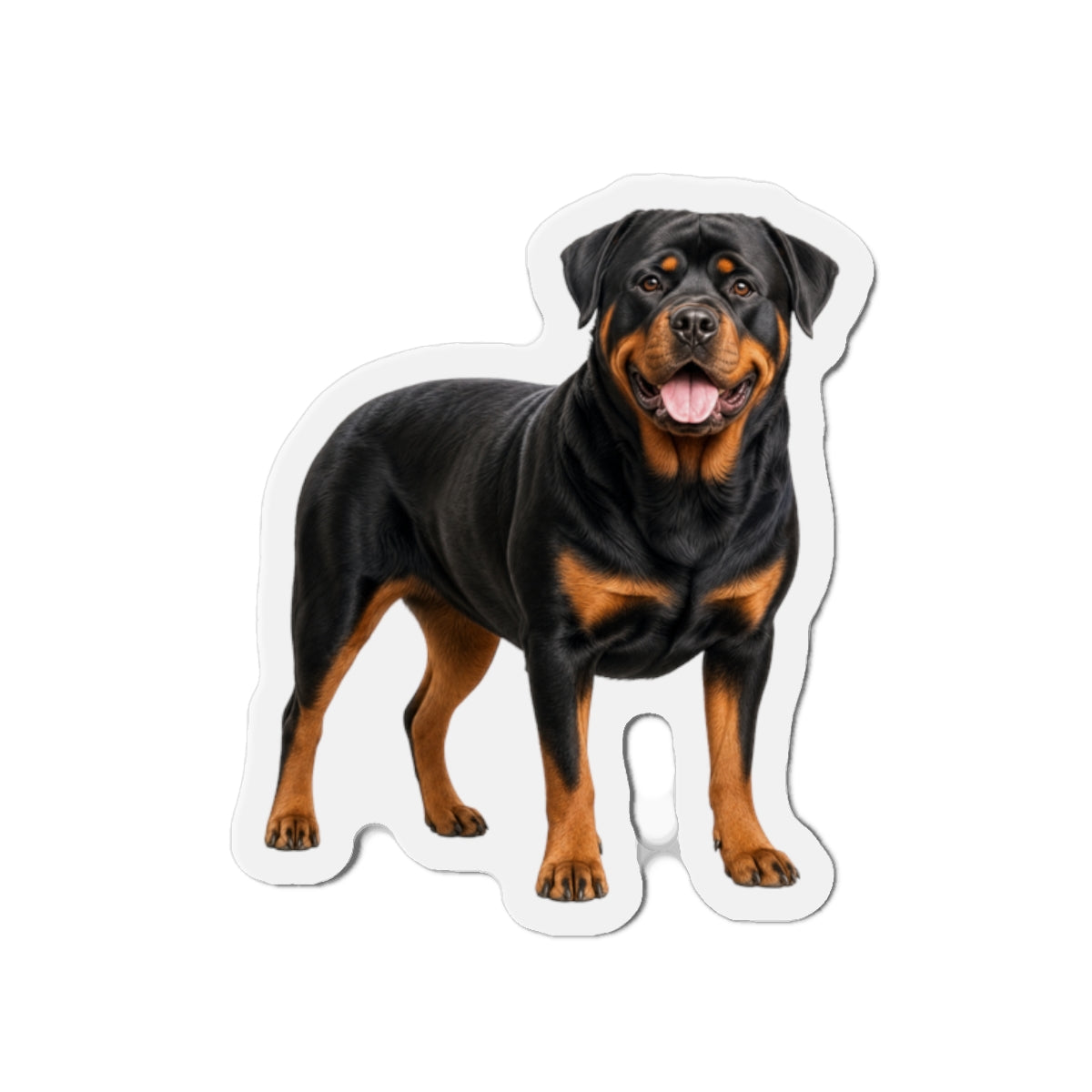 Rottweiler Magnet | Dog Lover Gift