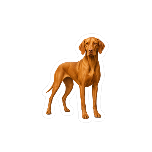 Vizsla Sticker | Waterproof Vinyl Decal | Dog Lover Gift