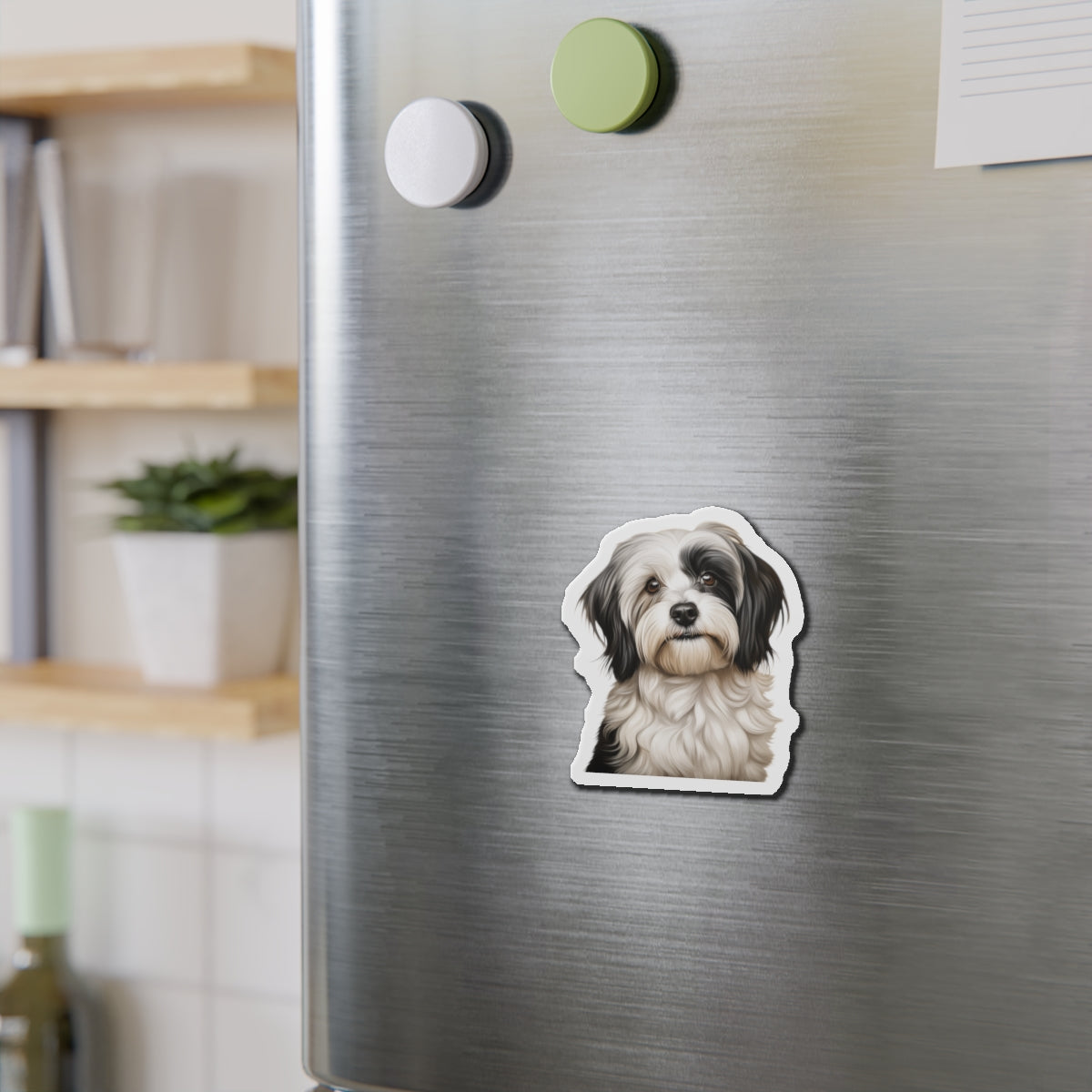 Havanese Magnet