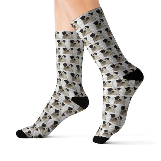 Aidi Socks - Dog Lover Gift, Cute Animal Apparel, Pet Owner Present, Colorful Patterned Footwear, Unique Puppy Accessory