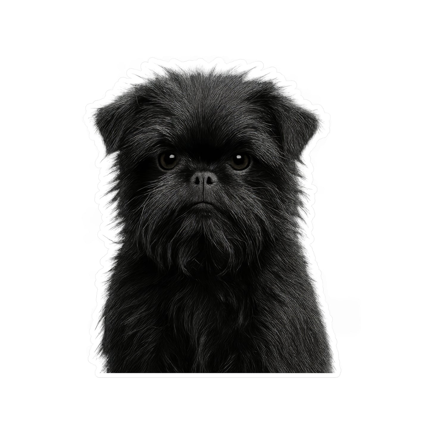 Affenpinscher decal - Affenpinscher sticker - Dog Sticker - Pet Decal - Outdoor - Indoor