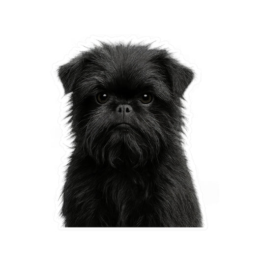 Affenpinscher decal - Affenpinscher sticker - Dog Sticker - Pet Decal - Outdoor - Indoor