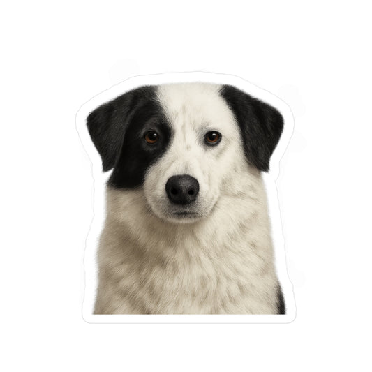 Aidi decal - Aidi sticker - Dog Sticker - Pet Decal - Outdoor - Indoor