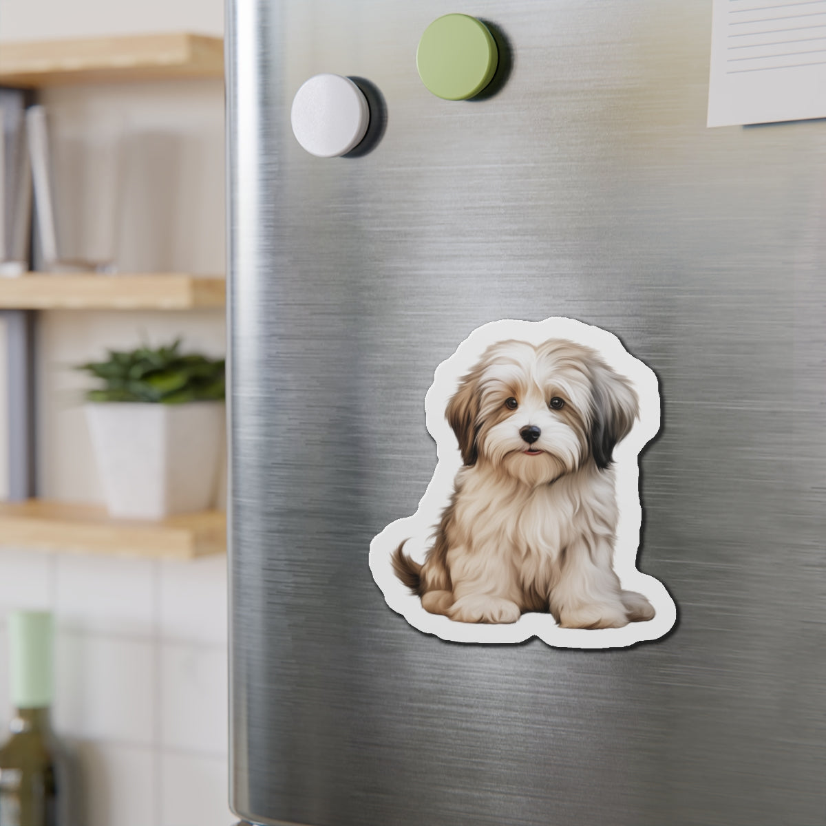 Havanese Magnet