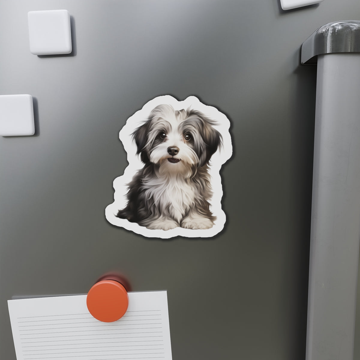 Havanese Magnet