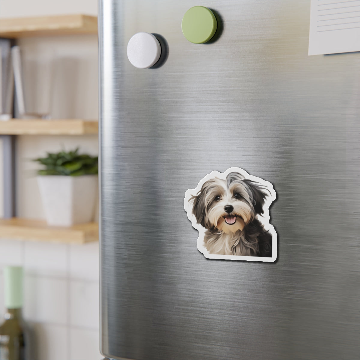 Havanese Magnet