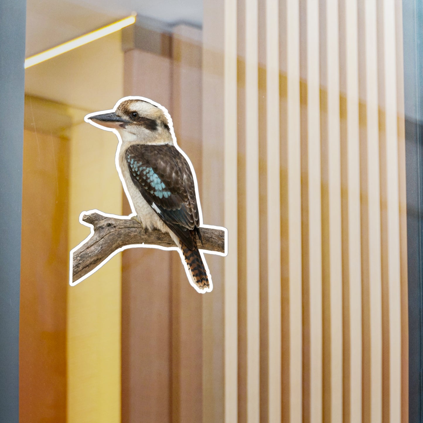 Kookaburra Vinyl Decal | Bird Sticker, Australian Wildlife