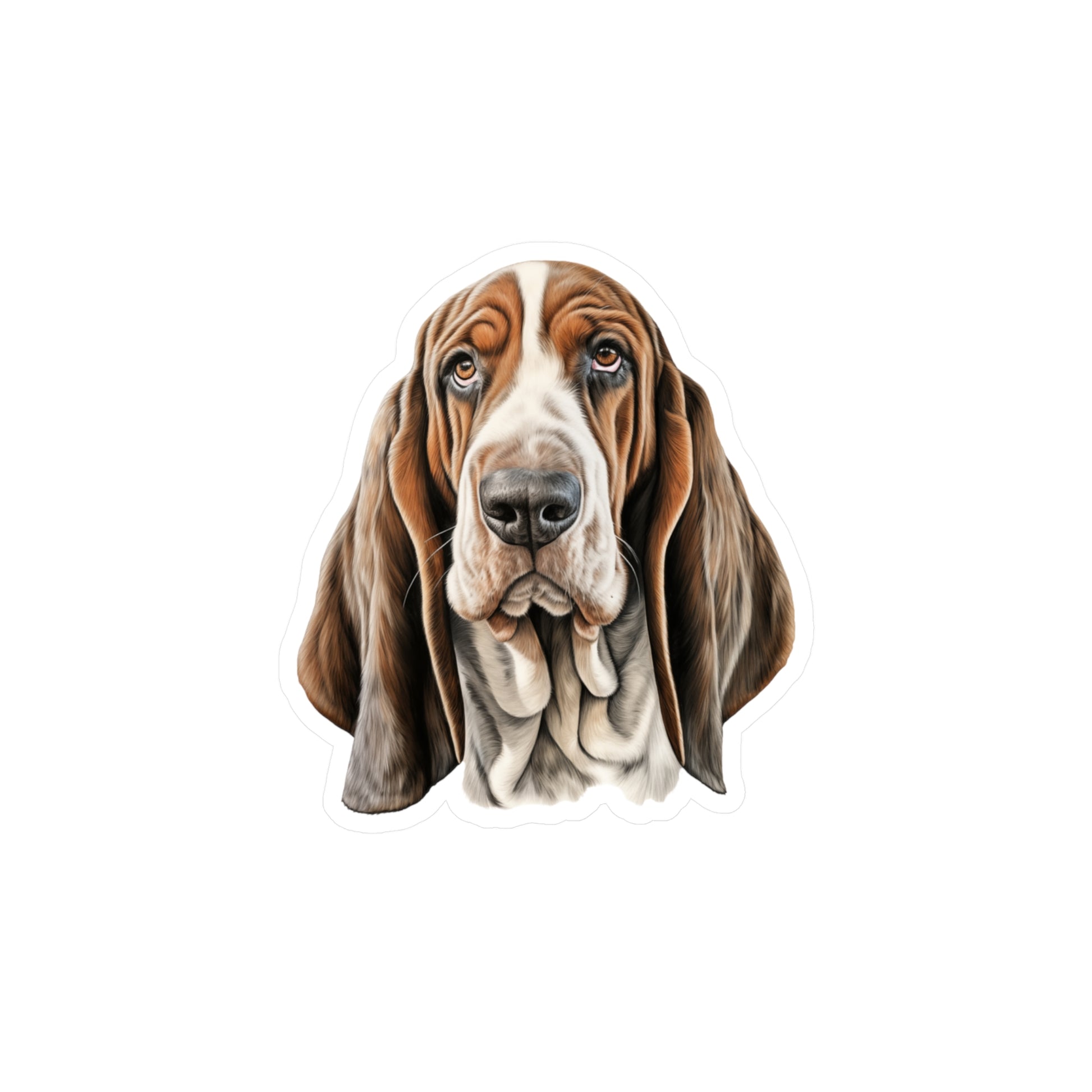 basset hound sticker