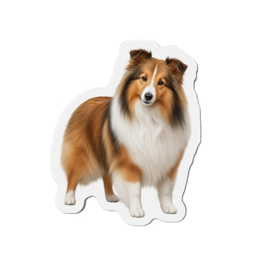 Shetland Sheepdog  Magnet | Dog Lover Gift