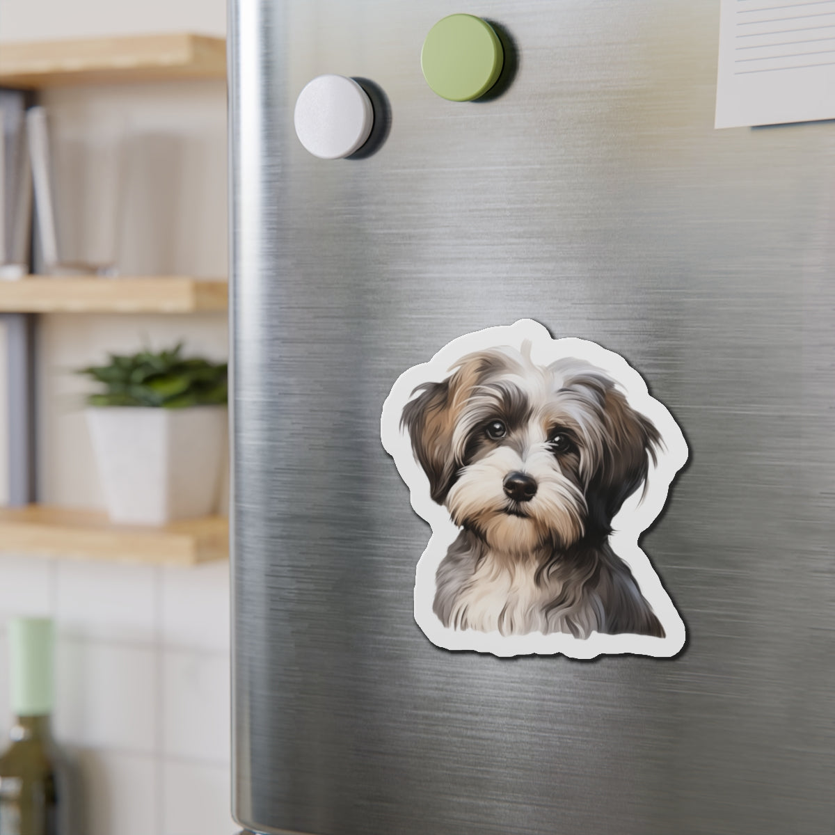 Havanese Magnet