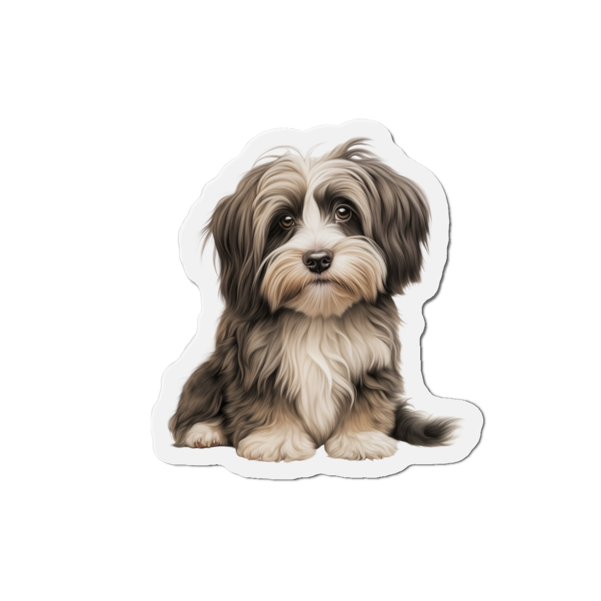 Havanese Magnet