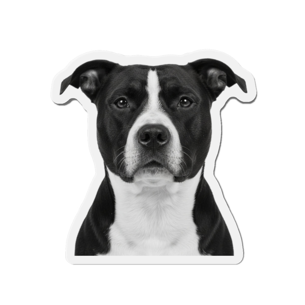 Pit Bull Die-Cut Magnet, Pet Lover Fridge Magnet, Animal Car Magnet, Cute Dog Kitchen Decor, Bull Terrier Gift