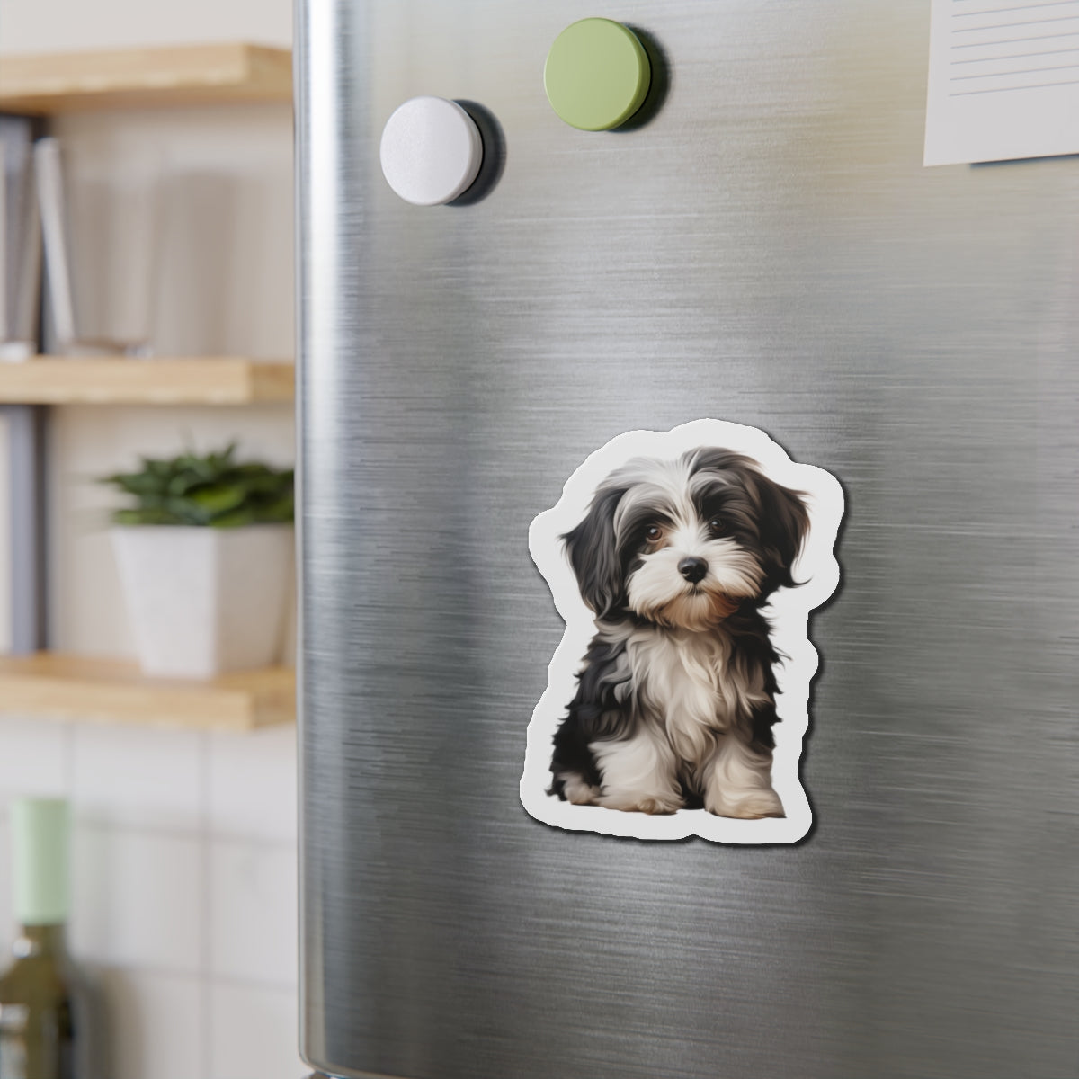 Havanese Magnet