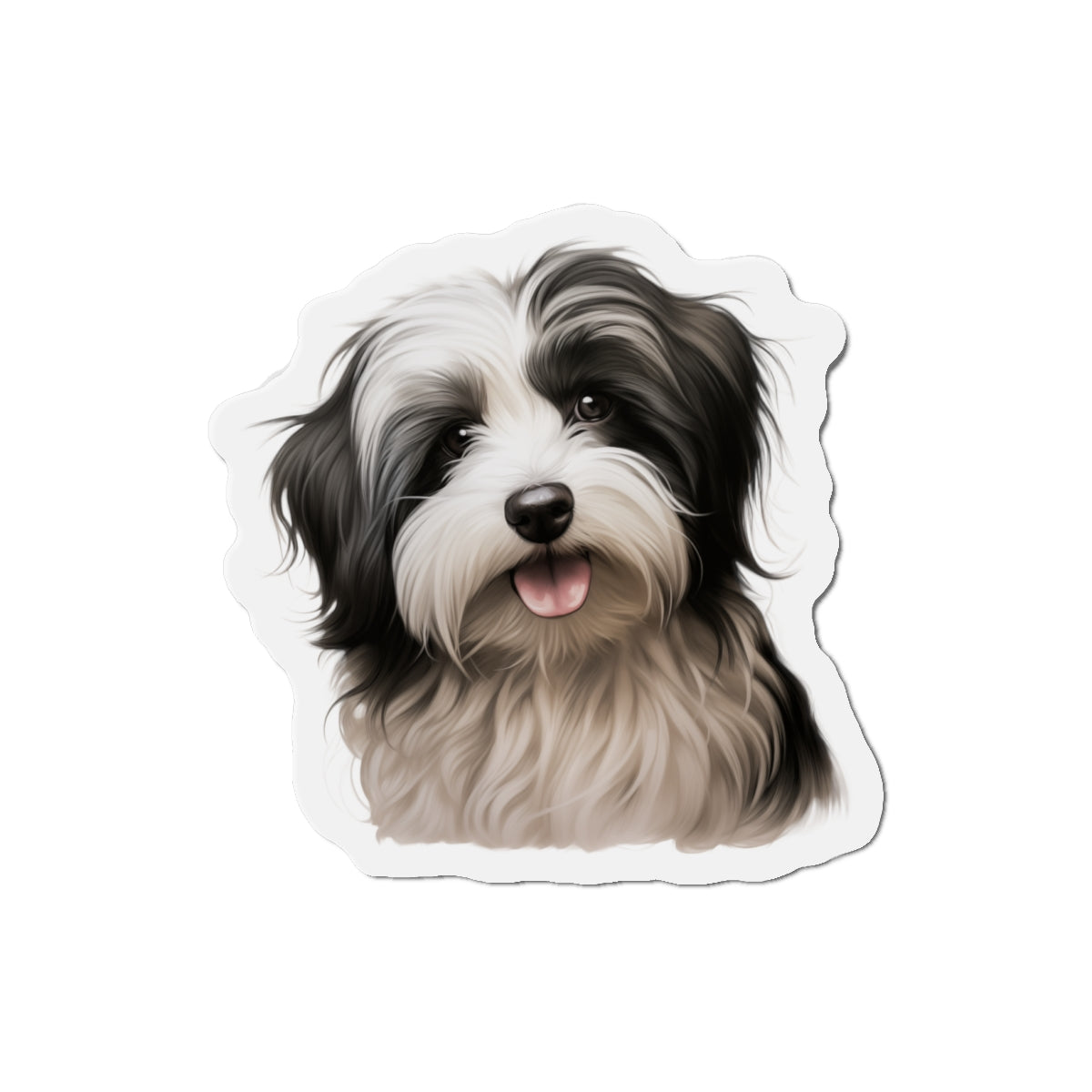 Havanese Magnet