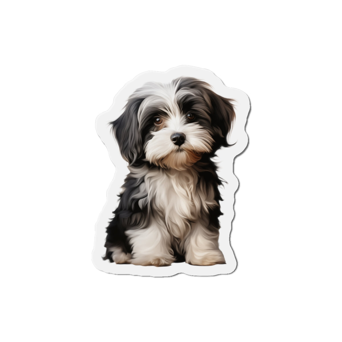 Havanese Magnet