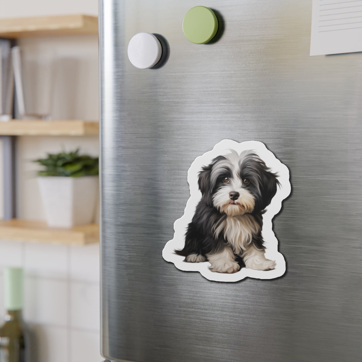 Havanese Magnet