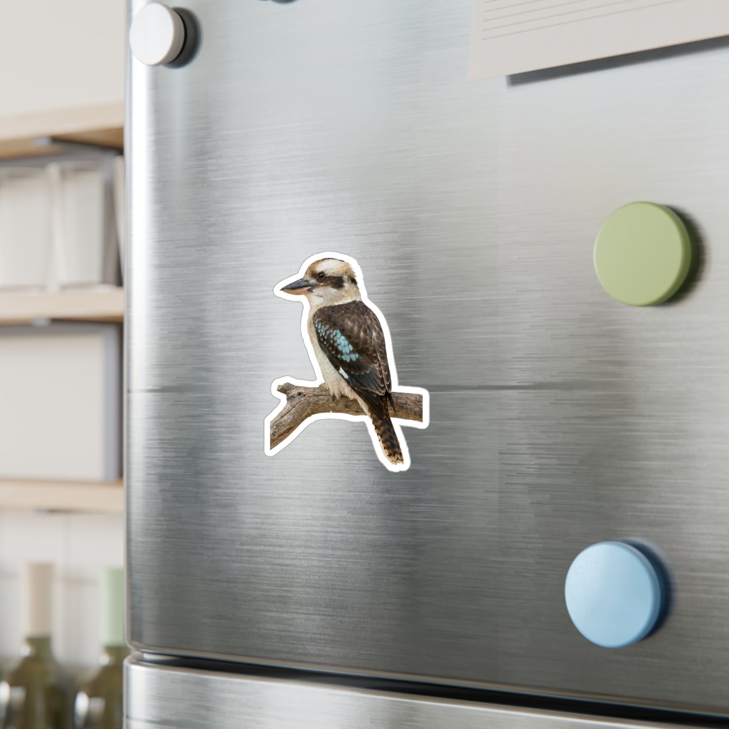 Kookaburra Vinyl Decal | Bird Sticker, Australian Wildlife