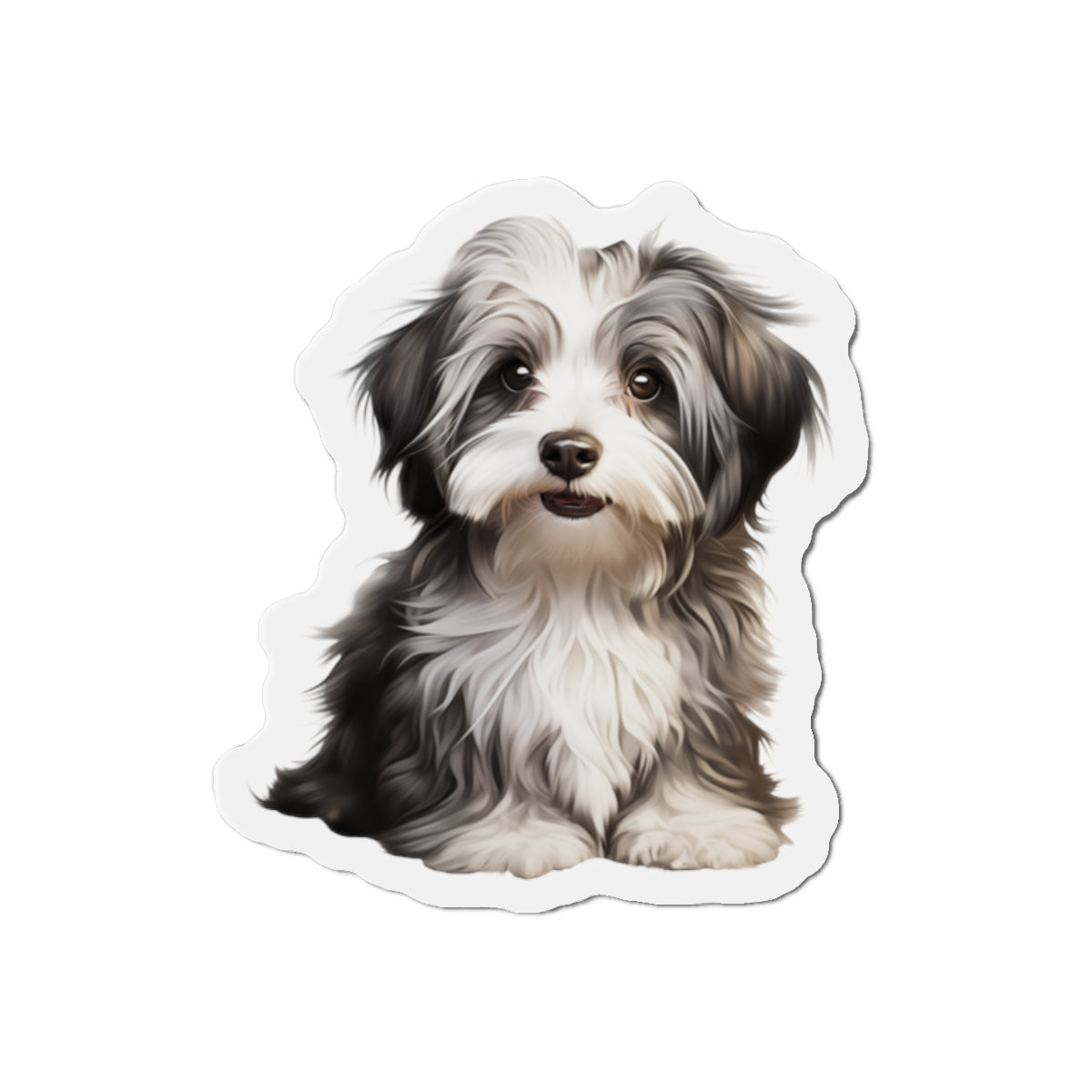 Havanese Magnet