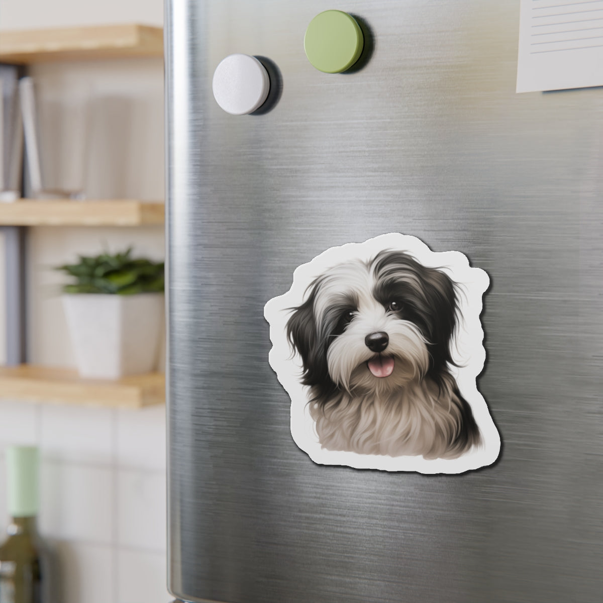 Havanese Magnet