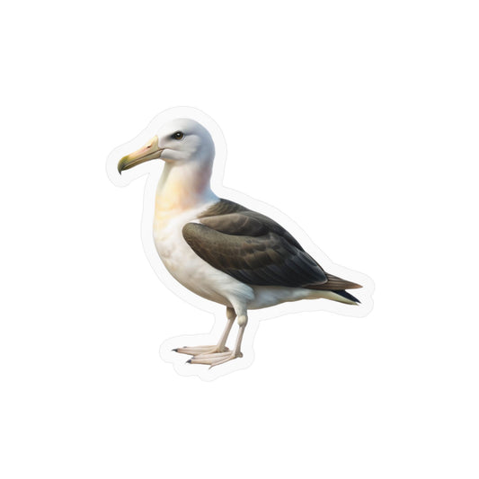 Albatross Sticker, Vinyl Decal for Laptop, Water Bottle, Car, Phone, Luggage, Bird Lover Gift