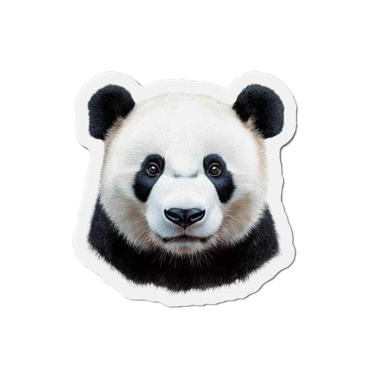 Panda Magnet - Wildlife Animal Lover Gift