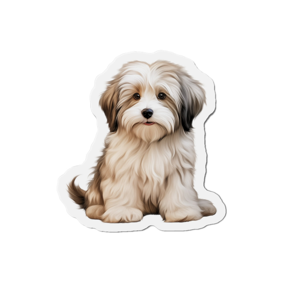 Havanese Magnet