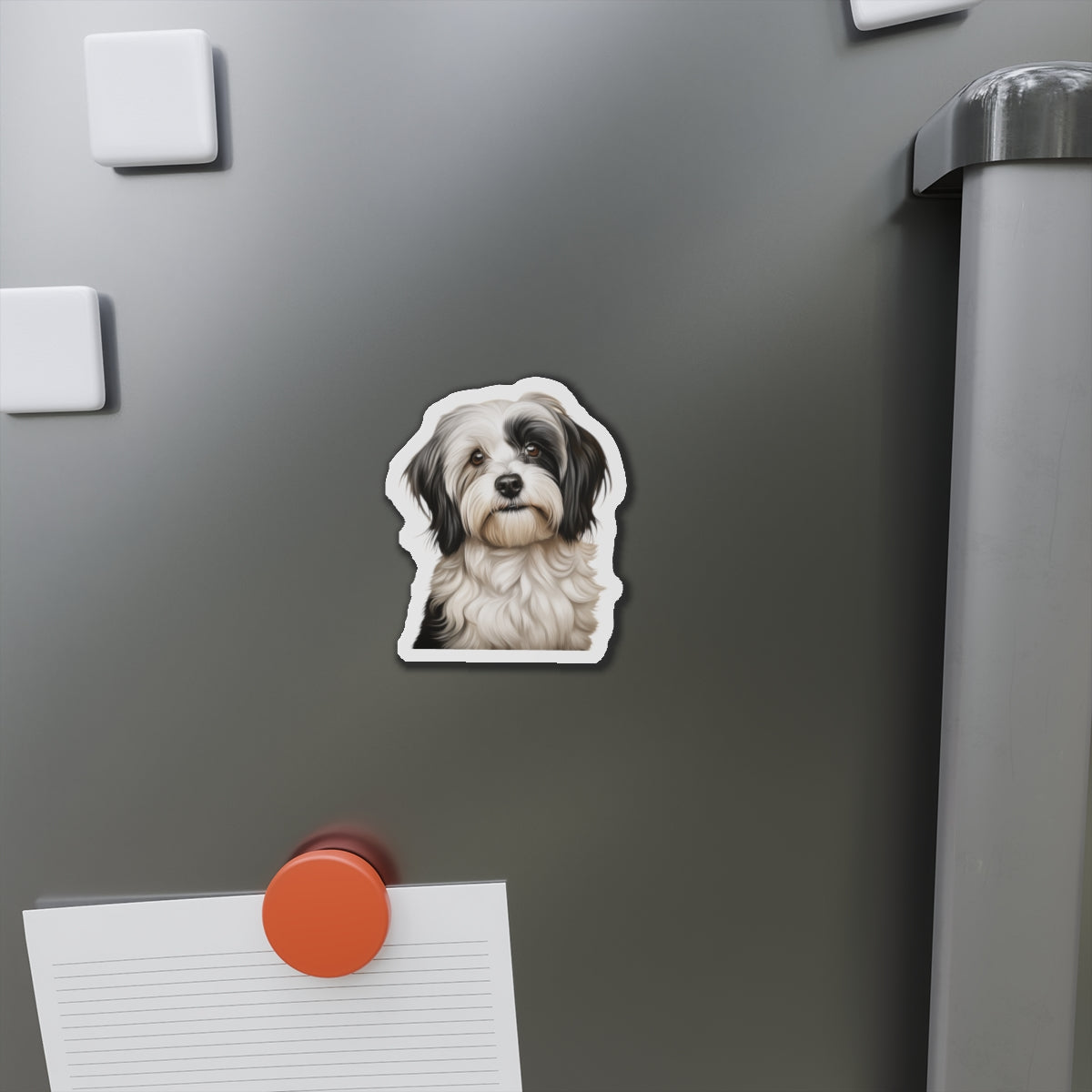 Havanese Magnet
