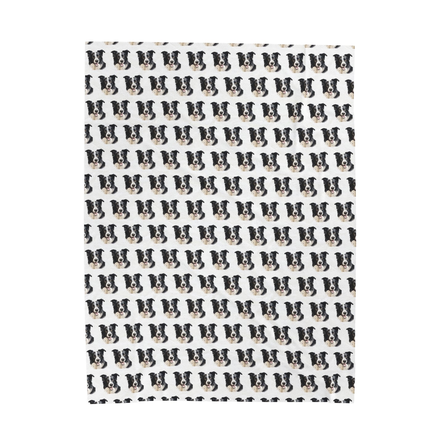 Border Collie Velveteen Plush Blanket - White Background