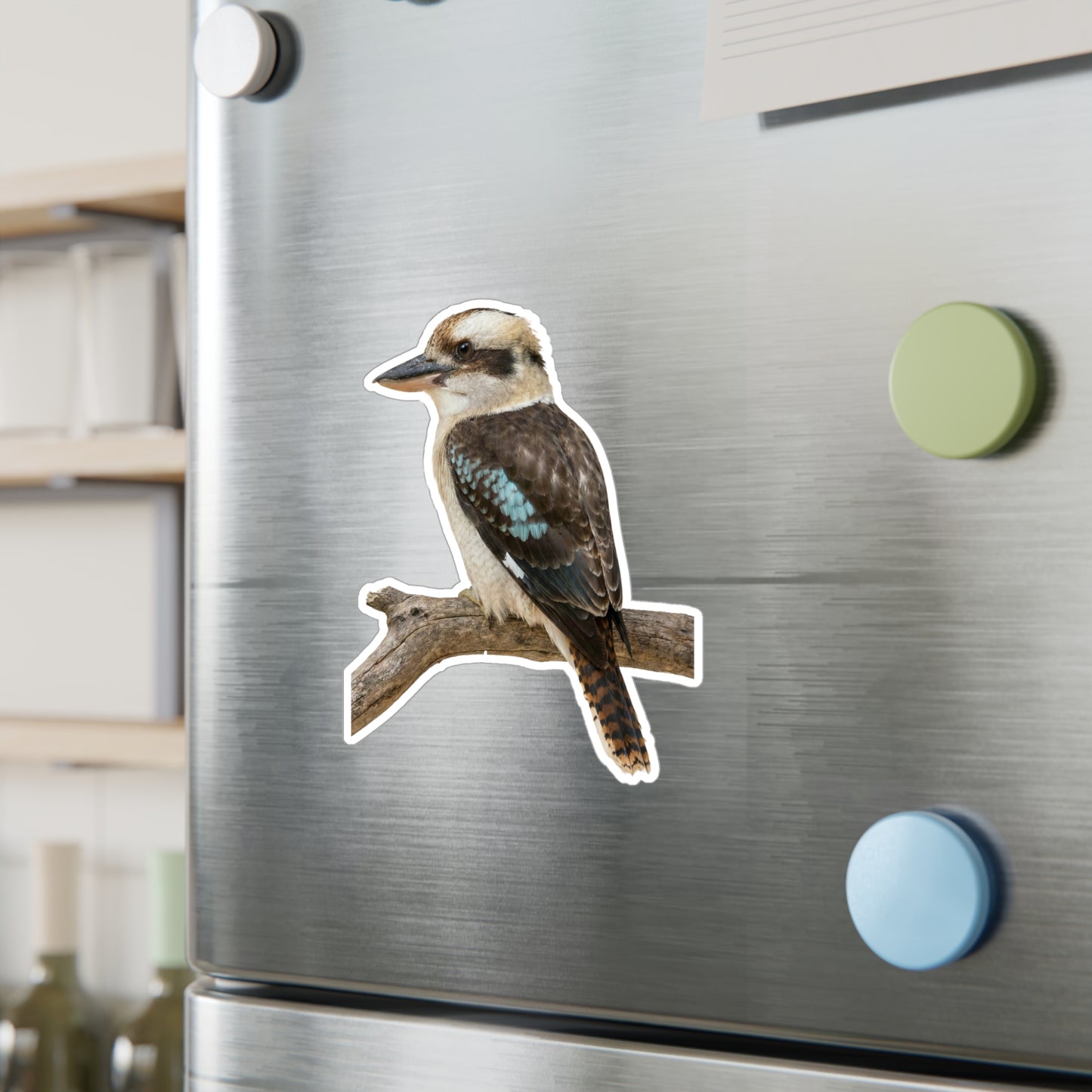 Kookaburra Vinyl Decal | Bird Sticker, Australian Wildlife