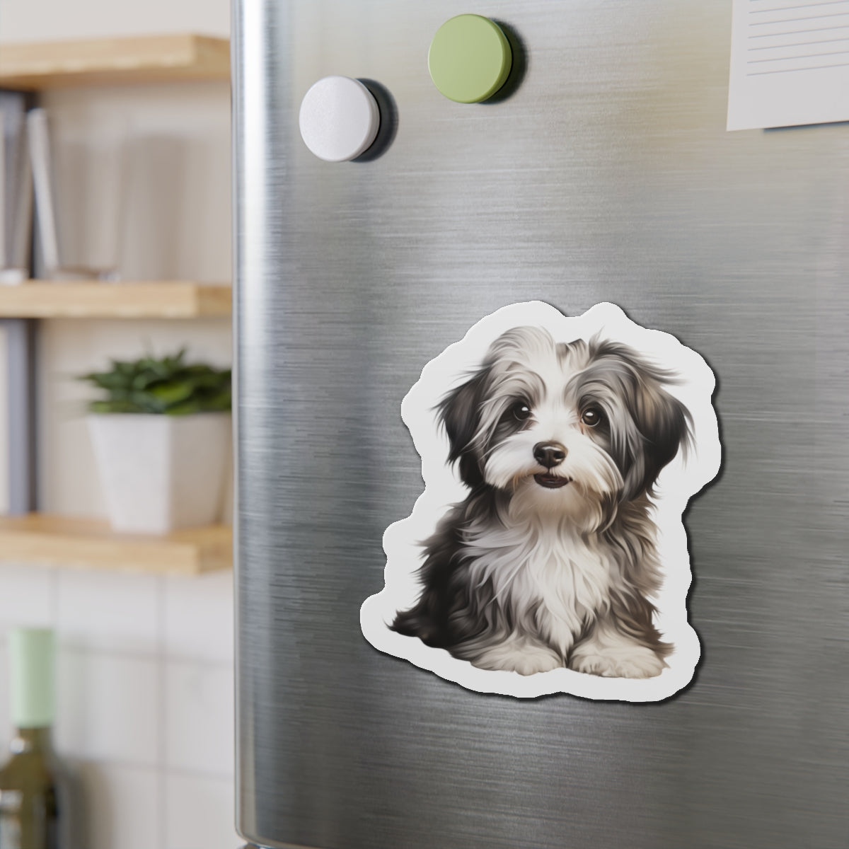 Havanese Magnet