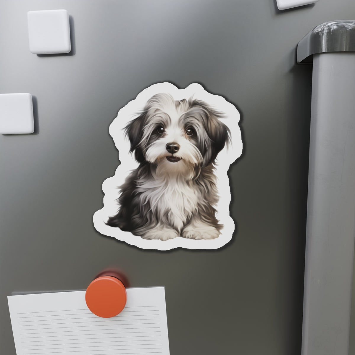 Havanese Magnet