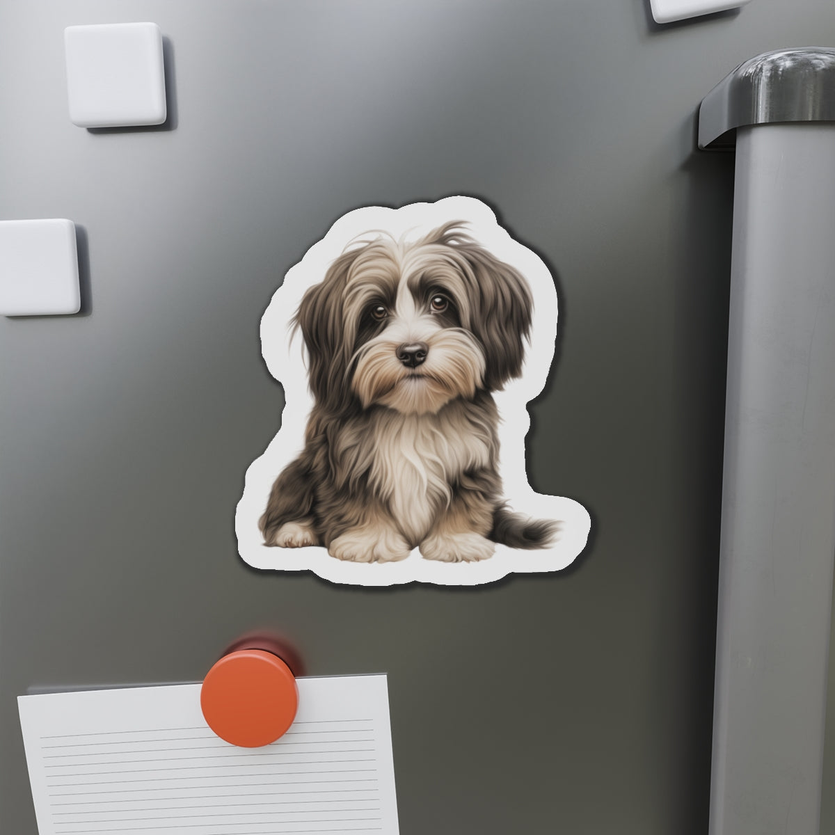 Havanese Magnet
