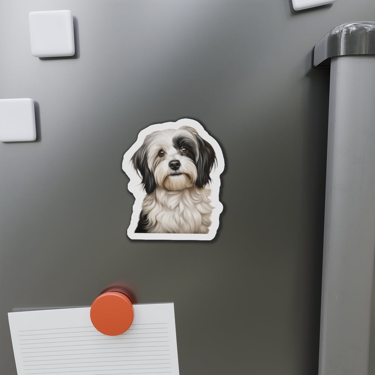 Havanese Magnet