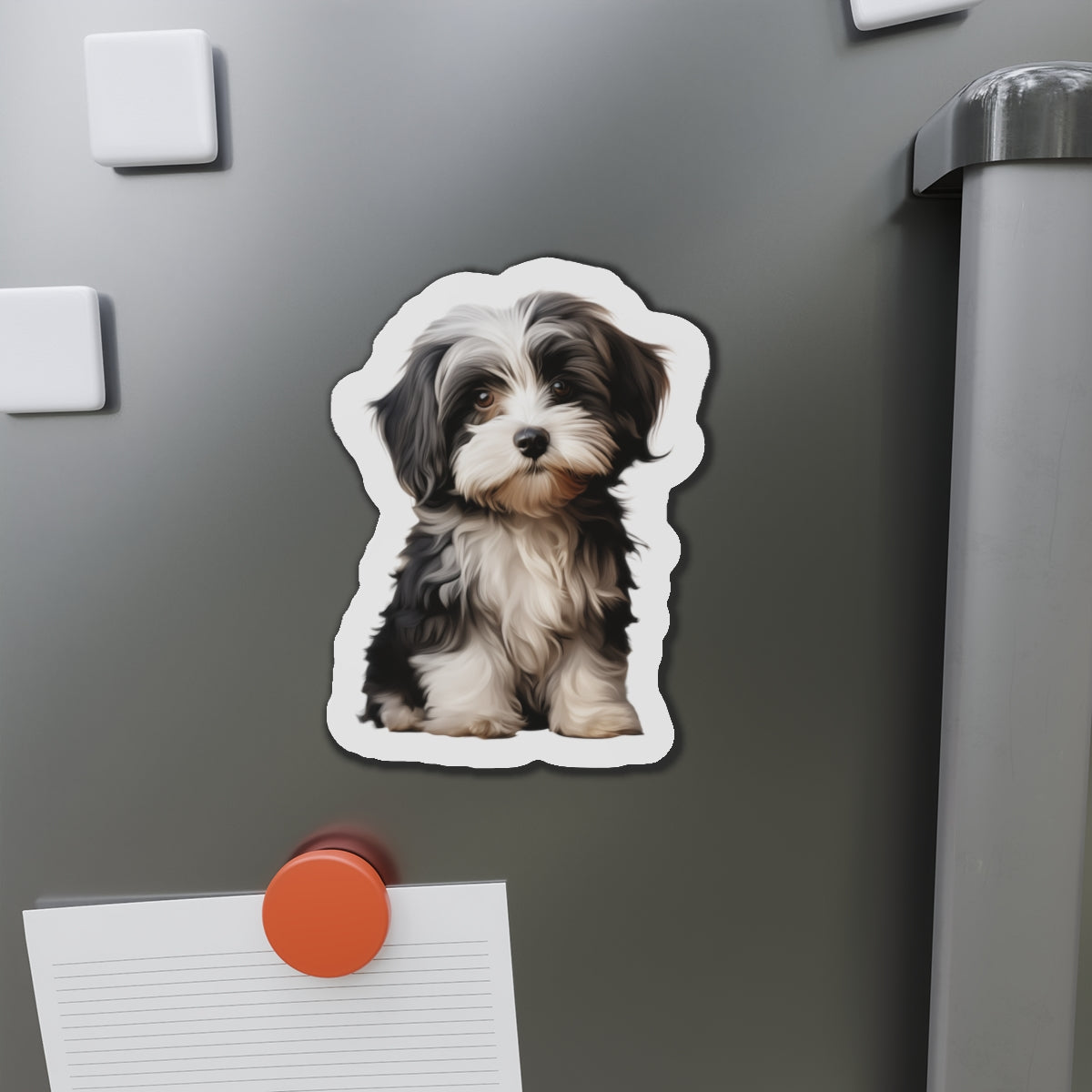 Havanese Magnet