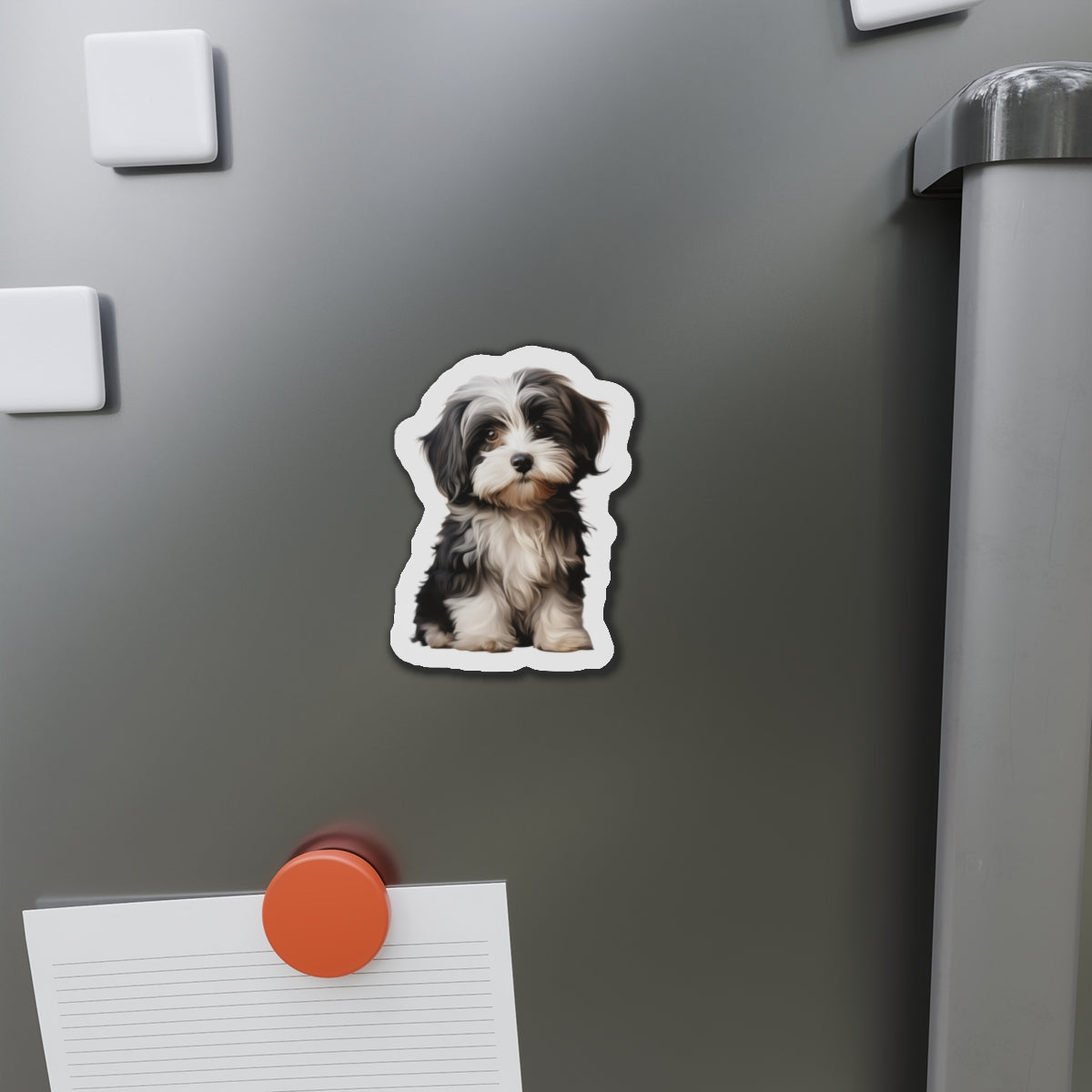 Havanese Magnet