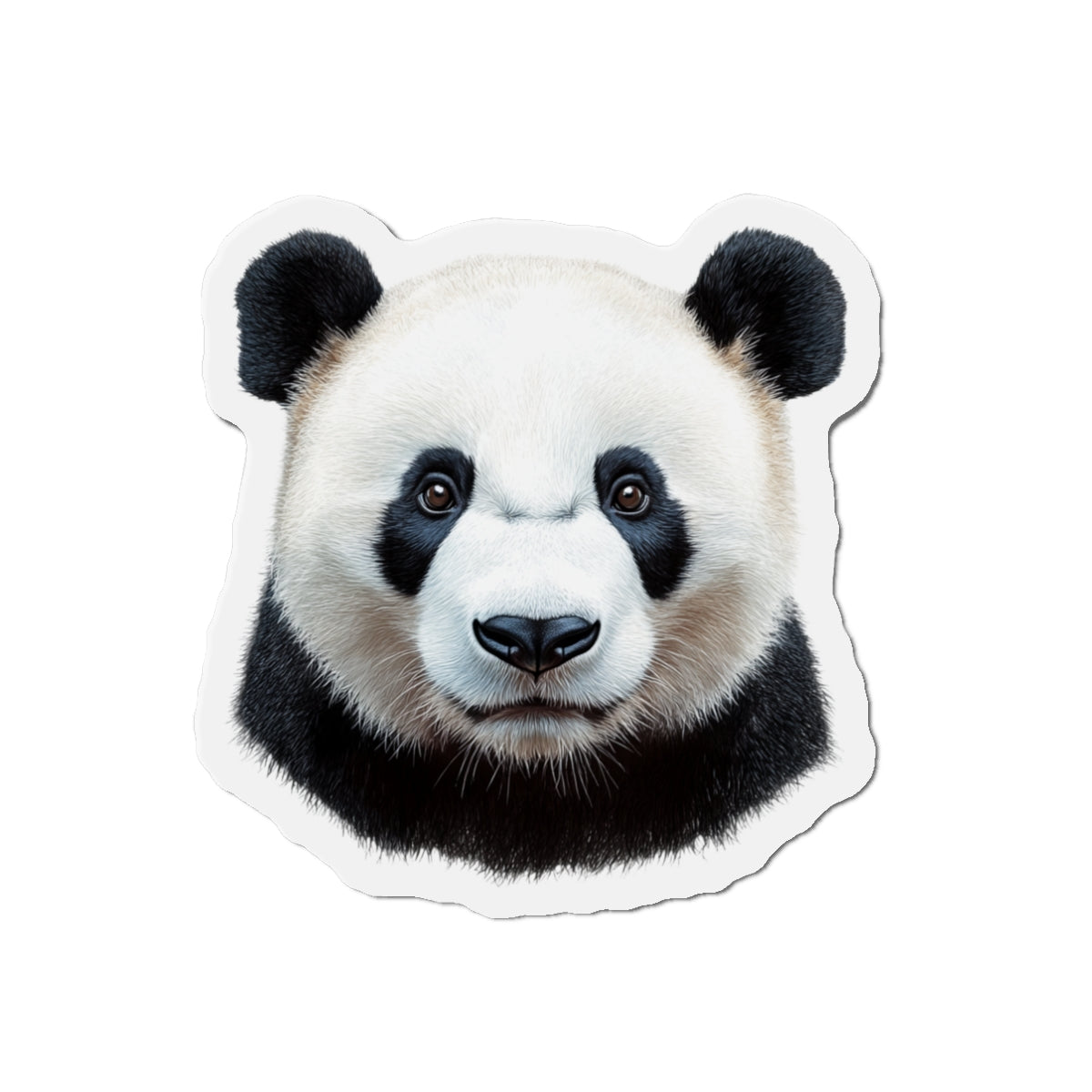 Panda Magnet - Wildlife Animal Lover Gift