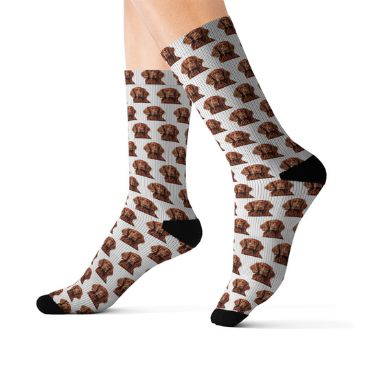 Irish Setter Socks