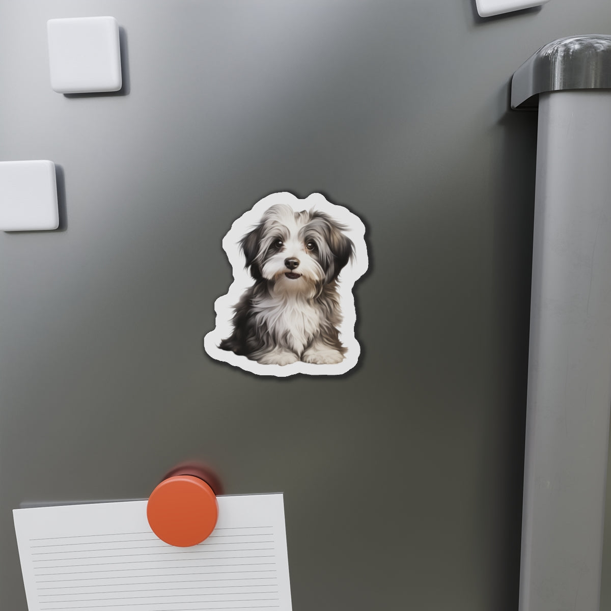 Havanese Magnet