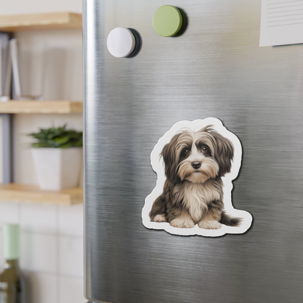 Havanese Magnet