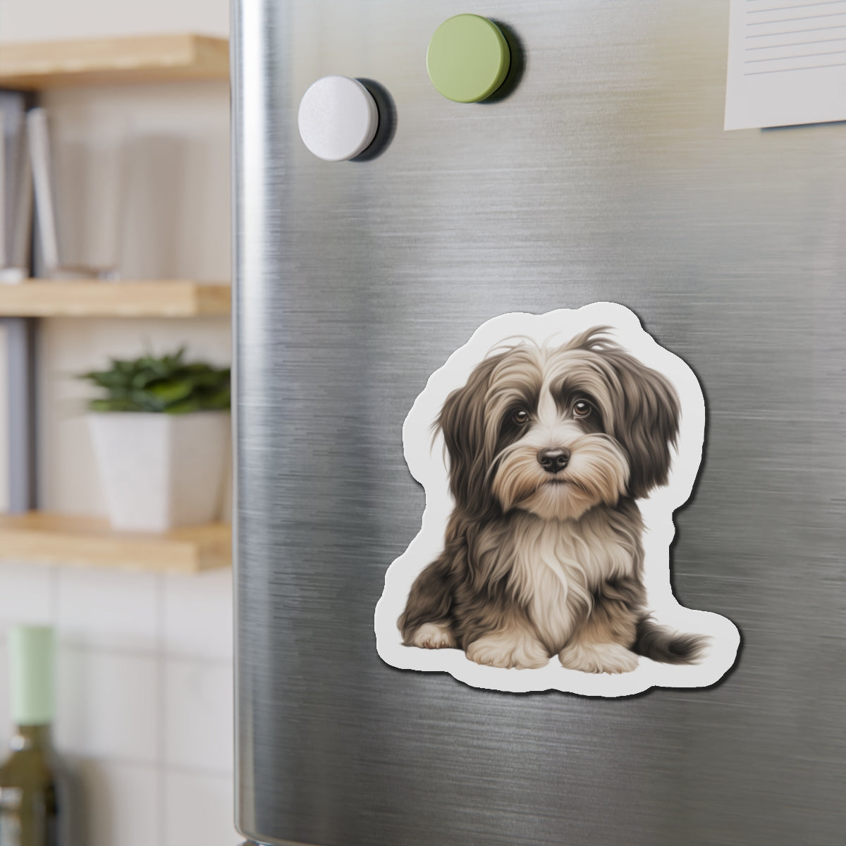 Havanese Magnet