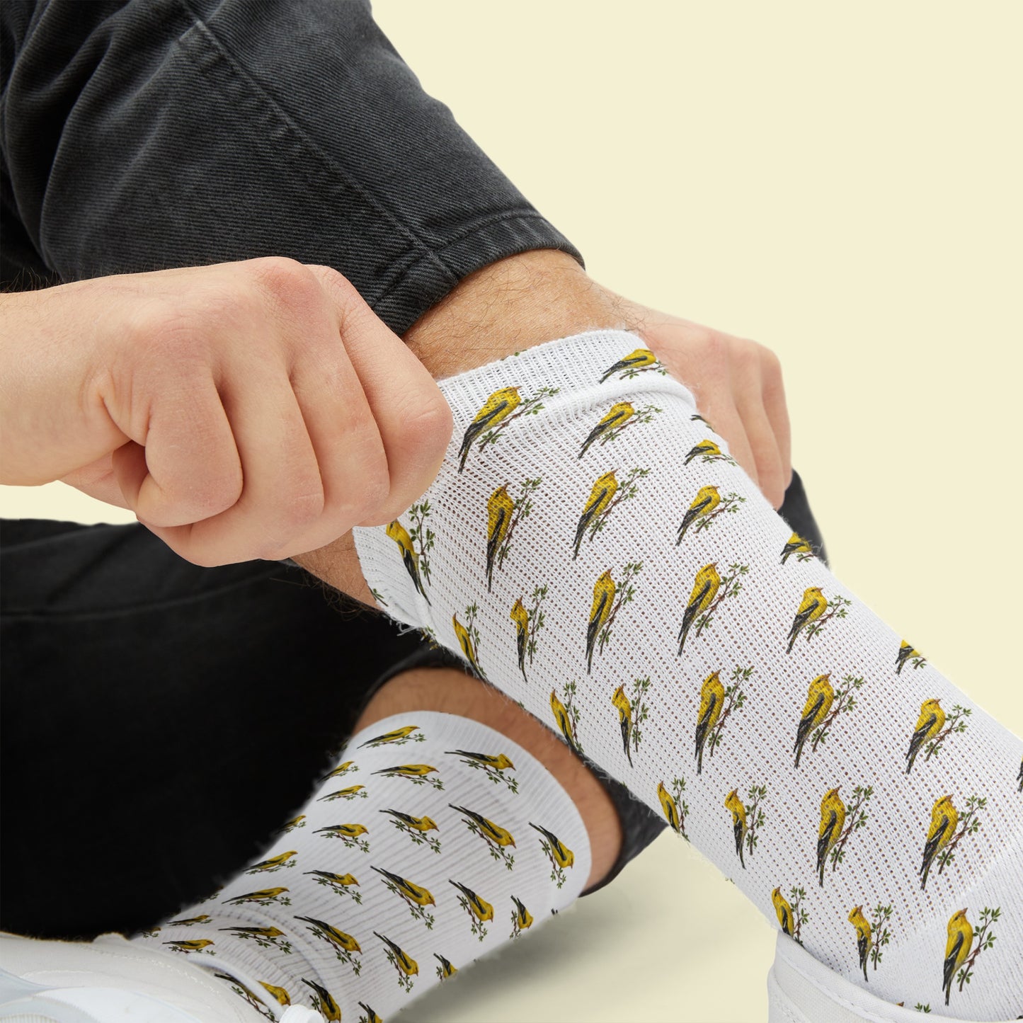 Finch socks, Bird Lover Gift