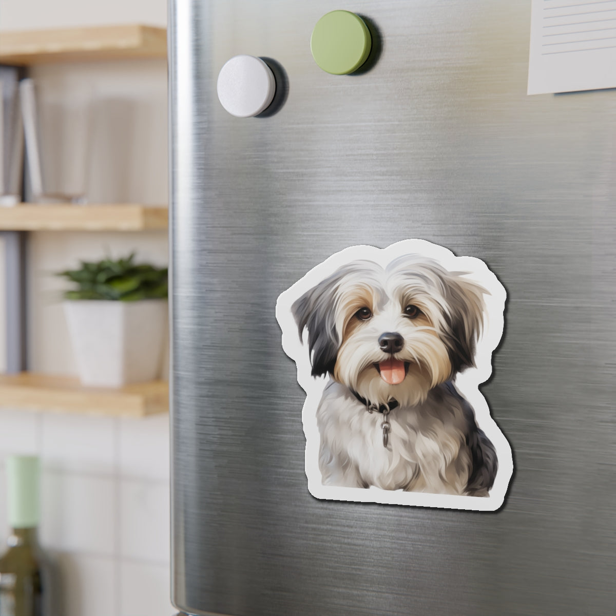 Havanese Magnet