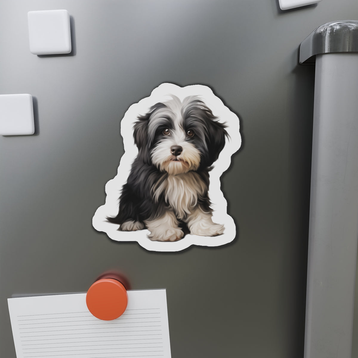 Havanese Magnet