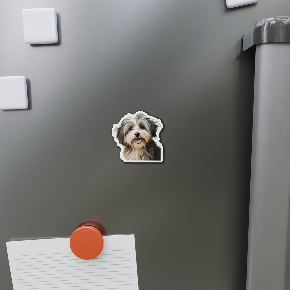 Havanese Magnet