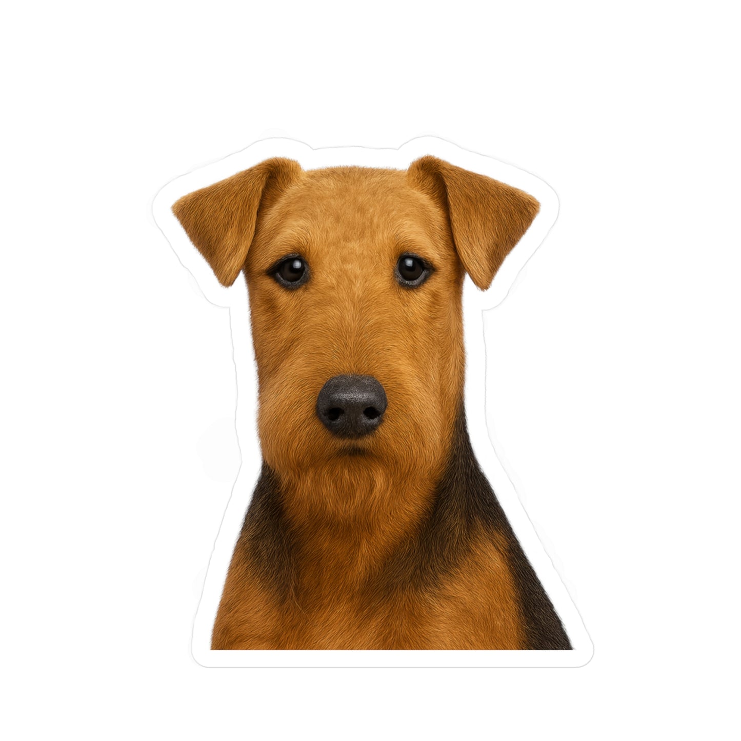 Airedale Terrier decal - Airedale Terrier sticker - Dog Sticker - Pet Decal - Outdoor - Indoor