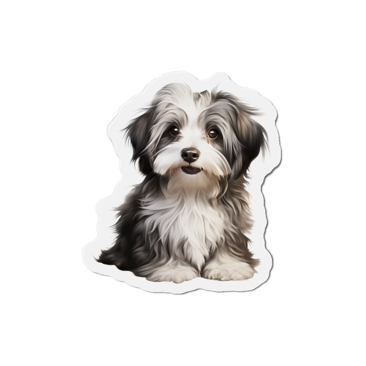 Havanese Magnet