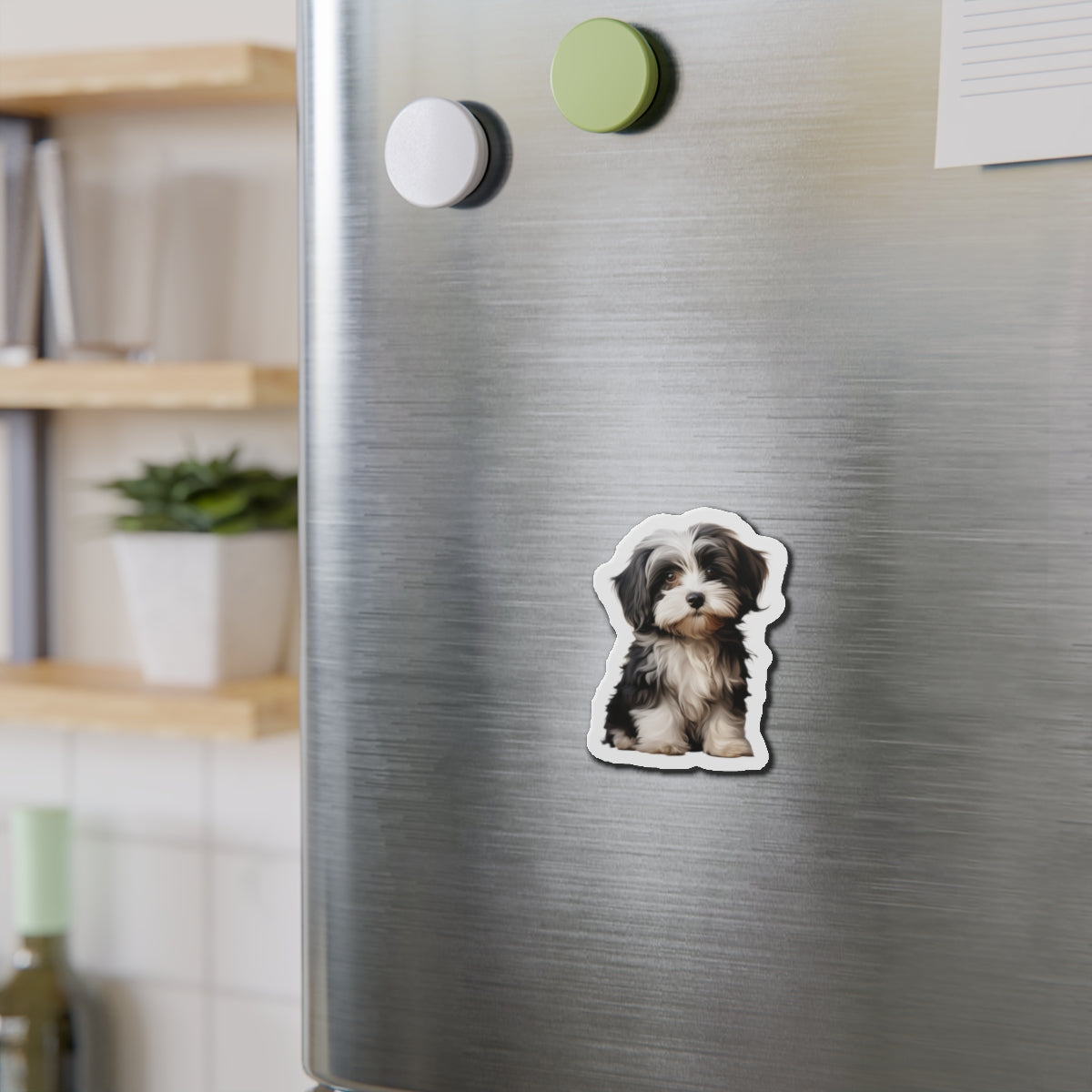 Havanese Magnet